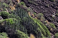 2016-11-07_112316 gran-canaria-2016
